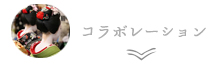 コラボレーション